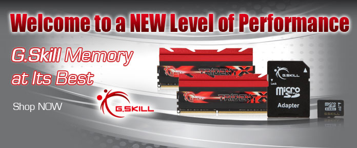 Shop G.Skill Memory