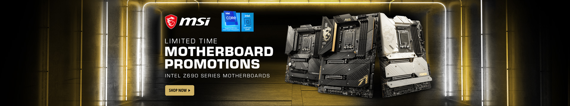MOTHERBOARD PROMOTIONS