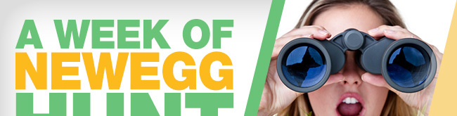 A Week of Newegg Hunt