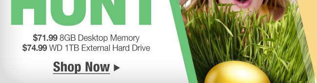 $71.99 8GB Desktop Memory, $74.99 WD 1TB External Hard Drive