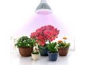 VicTake Newest LED Grow Light 36w, Plant Grow Lights E27 Growing Bulbs For Garden Greenhouse and Hydroponic Full Spectrum Growing Lamps 3 Bands Growing Combination (660nm and 630nm Red and 460nm Blue)