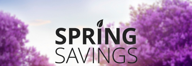 SPRING SAVINGS