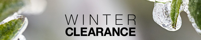 WINTER CLEARANCE