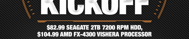 $82.99 Seagate 2TB 7200 RPM HDD, $104.99 AMD FX-4300 Vishera Processor