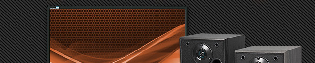 Monitor, Flash memory