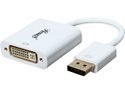 Rosewill RCDC-14034 DisplayPort Male to DVI Female Adapter