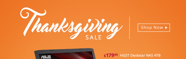 THANKSGIVING SALE