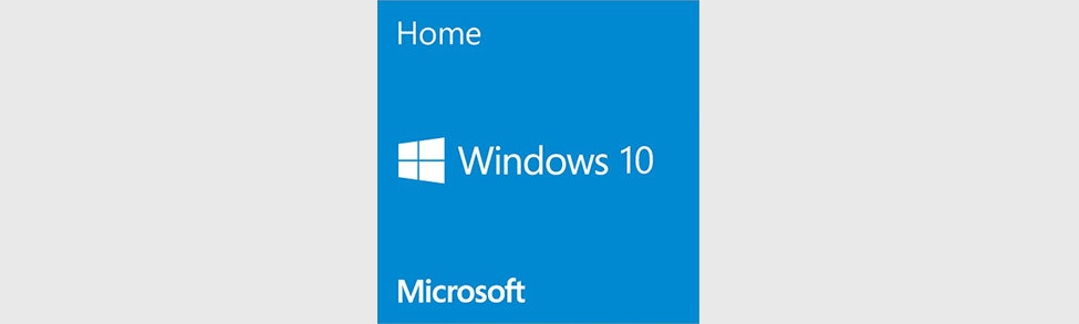 Windows 10 Home Edition product image