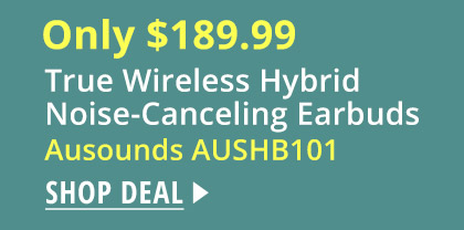 True Wireless Hybrid Noise-Canceling Earbuds