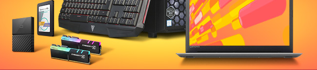 New Year: Newegg