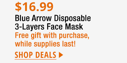 Blue Arrow Disposable 3-Layers Face Mask