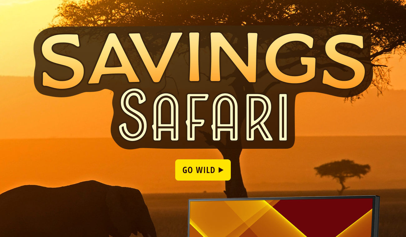 SAVINGS SAFARI
