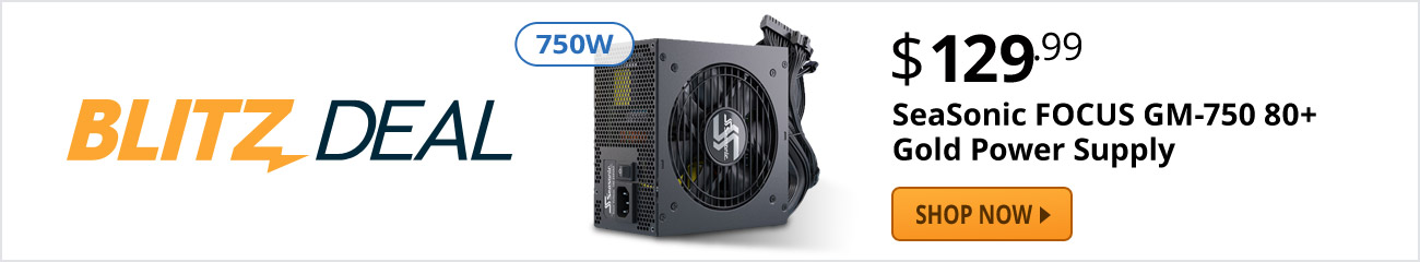 Blitz Deal - SeaSonic FOCUS GM-750 80+ Gold Power Supply