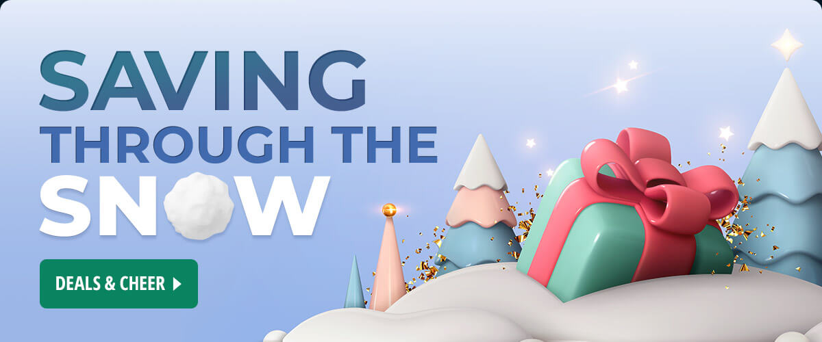 SAVING THROUGH THE SNOW