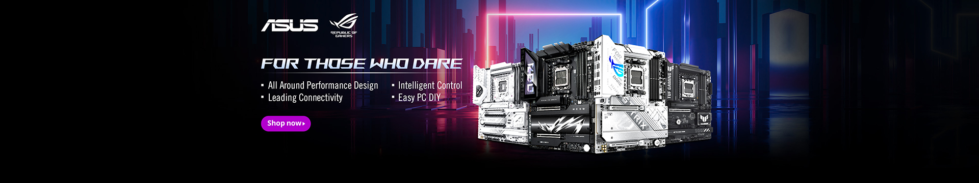 ASUS MB 2025