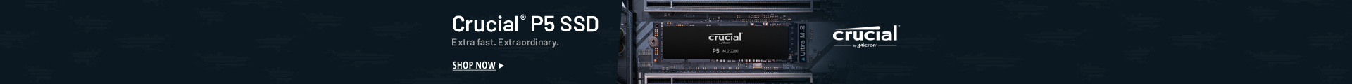 Crucial® P5 SSD