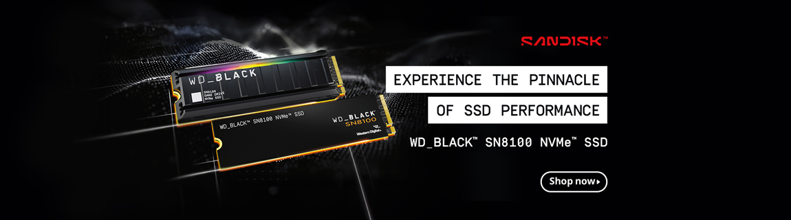 Sandisk_SN8100